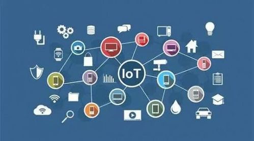 2020年数字资产管理与文创服务迎来爆发式增长